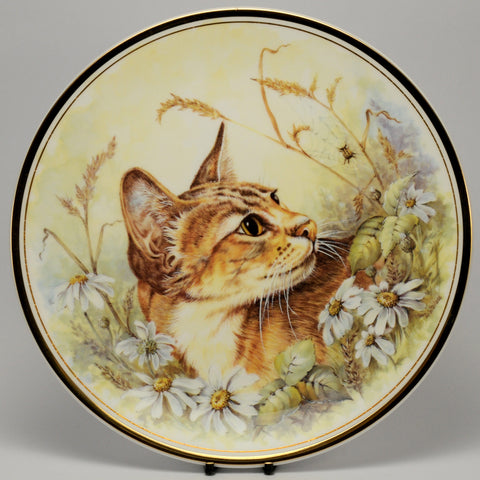 Decorative Cat Plate, Royal Vale Cat and Spider