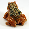 Small frog with pimpled back