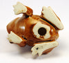 Small frog with pimpled back
