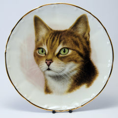 Decorative Cat Plate AJL Giftware  featuring a young green eyed tabby