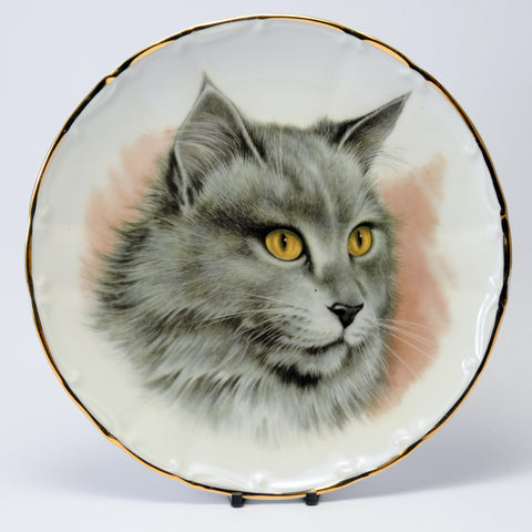 Decorative Cat Plate gold eyed grey