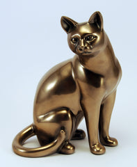 Content looking cat in a light brassy finish