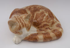 cat ginger sleeping mike hinton winstanley