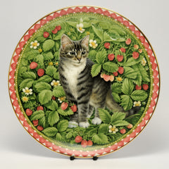 Decorative Cat Plate, Aynsley  Lesley Anne Ivory  Meet my kittens Gemma July