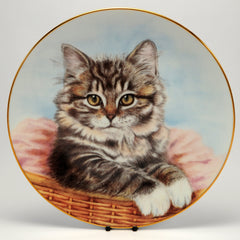 Decorative Cat Plate, Hamilton Collection  Sue Ranford, Bright eyes