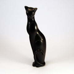 sassy tall black cat 1